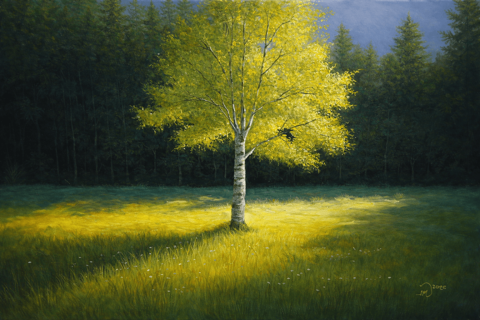 Oil painting of a sunlit birch tree at the edge of a dark forest